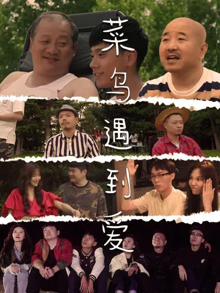 【国产剧】菜鸟遇到爱